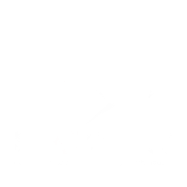 Laican
